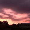 ldani_16