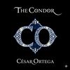 cesar.ortega52