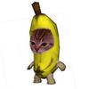 bananacat48