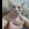 kacper_jest3m