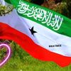 ifrahali117