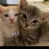 たつ