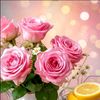 roseflower_644