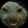 wleyddewlhaj