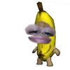 luis_jara13