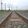 fandy952