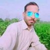 mushtaq.rajpoot8812