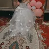 mehraabhassan1
