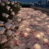 mms_b