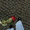 sara_hisham.0