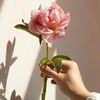 noura25704