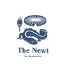 thenewtsomerset