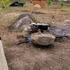 queirozmale