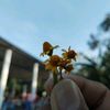 sergio_476