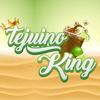 tejuinoking