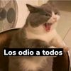 qqueimporta