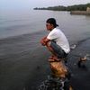 taufikcoboy1