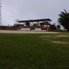 montoyadarwin1