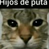 itxjowwy