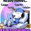 user89444371