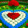 nlove534