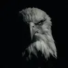 ayoub_bakhta