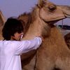 hamd_298