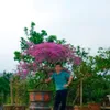 tuyen.tuyen20