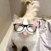 faraww_rawwwww