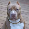 gatodecapuz5