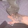 rosse_crazzy