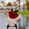 narimen_98