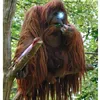 jeffry_the_monke