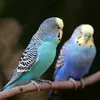 user447148069r