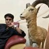 mhoib_domki.007