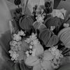 bbterfly___