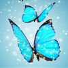 user440o3qvs5j