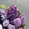 fan_fi5