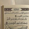 salm71333