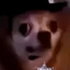 _peliootbaui_