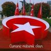 aydinfirtina