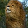 user18262251amar