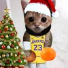 lakers_fan65