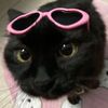 catwoman6166