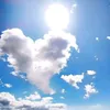 rosaya_22