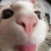 eleya_123