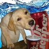 buy.me.dr.pepper