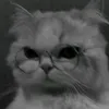 sy_lista