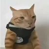 duvlox