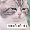 chulkhongbaso